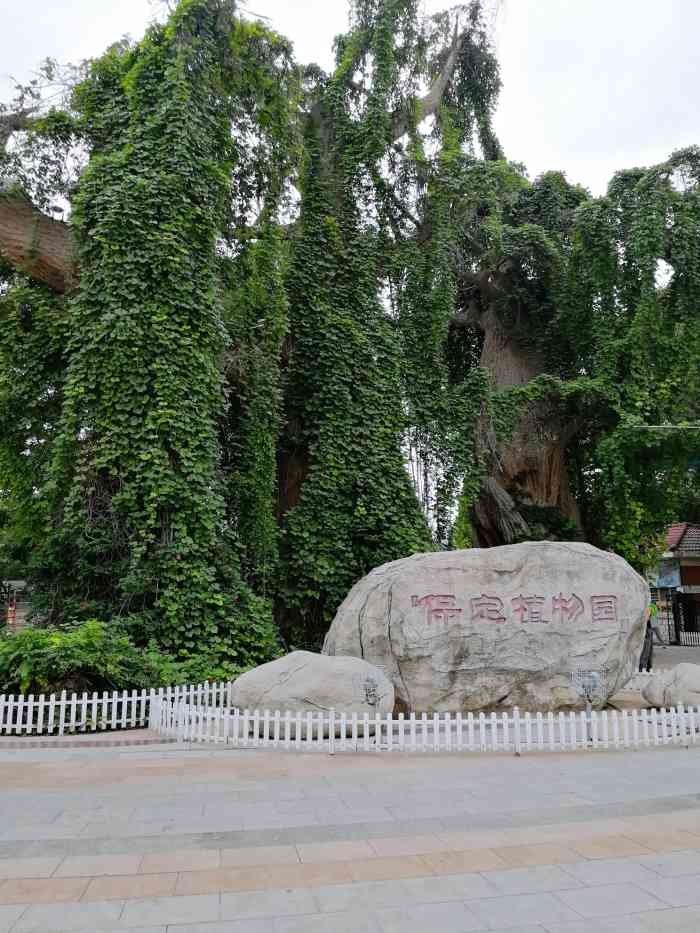 保定植物园-"最近的植物园真的是满园秋色!尤其是黄昏.