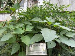 -广州神农草堂中医药博物馆