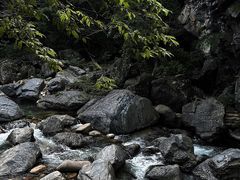 -石台牯牛降景区