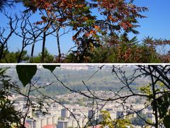 -国家植物园