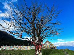 -硗碛藏寨·神木垒景区