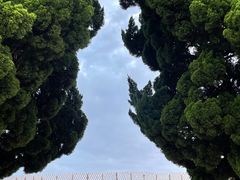 -小麦岛公园