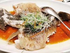 -新吉士·上海菜(浦东LCM置汇旭辉店)