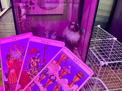 -好心里咨询Tarot塔羅