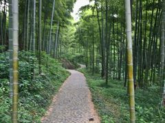通往鬼屋的小径-天下银坑