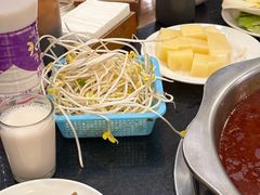 -冯记香辣兔火锅(茶店子总店)