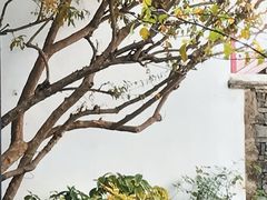 -南京市民俗博物馆(甘熙故居)