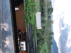 -翠田Green Field Kitchen