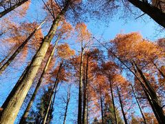 -罗田薄刀峰风景区