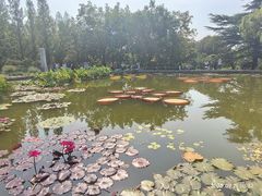 -国家植物园南园