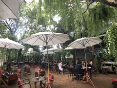 -Fern Forest Cafe