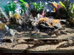 -太平洋海底世界