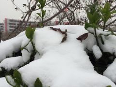 -南开大学滨海学院