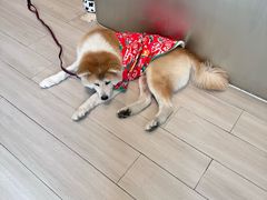 -YCHL Studios健身工作室(市二宫店)