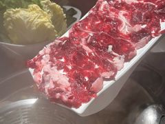 -潮发潮汕牛肉店(东方宝泰店)