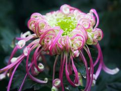 -共青国家森林公园-售票处