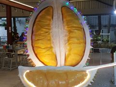 -都念榴莲·城市榴莲