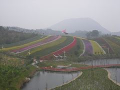 -东部华侨城