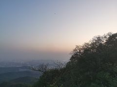 -紫金山山顶公园