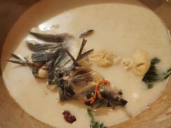 -滇小鱼·云南野生菌火锅(上杭路店)