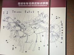 -洛阳周王城天子驾六博物馆