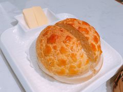 -南枝记