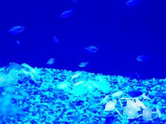 -常州海昌海洋探索馆