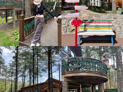 -洛阳白云山景区