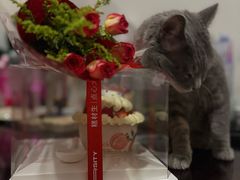 -糕材生•糕点•生日蛋糕(解放路店)