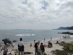 -杨梅坑
