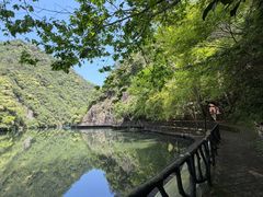 -龙湾潭国家森林公园