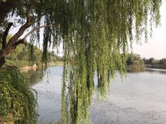 -上海市保健医疗中心