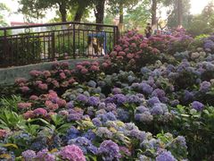 -广西壮族自治区药用植物园