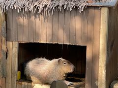 -杭州长乔极地海洋公园