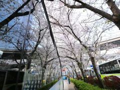 -上海南浦大桥长途旅游客运站