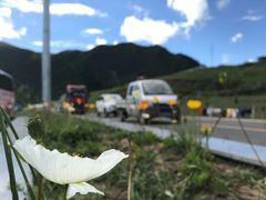 -色达喇荣五明佛学院