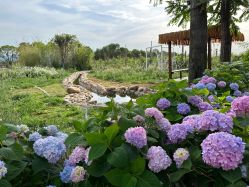 -DORA kids 朵拉儿童摄影花园店