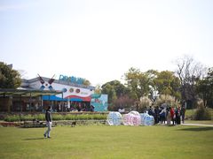 -田园东方蜜桃村的田野营地