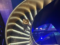 -海派悦庭·海胆烧麦·新融合菜(凯德广场店)