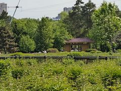 -黑龙江省森林植物园