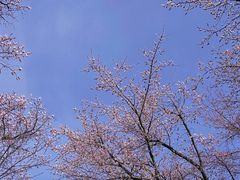 -吉林大学(南岭校区)