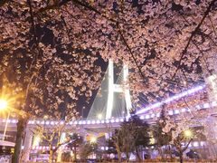 -上海南浦大桥长途旅游客运站