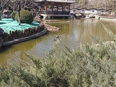 -宣武艺园