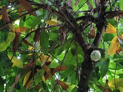 -歌斐颂巧克力小镇