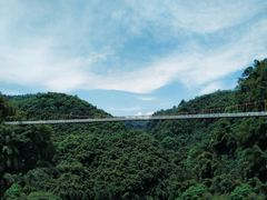 -川西竹海景区