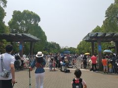 -上海海湾国家森林公园