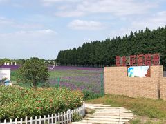 -嘉北郊野公园