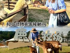 -盈香心动乐园