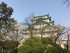 -名古屋城