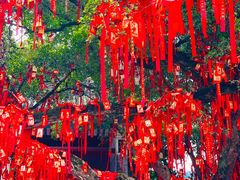 -国恩寺